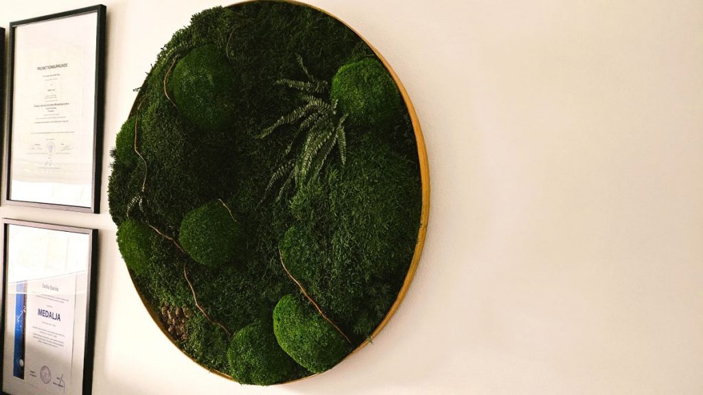 Moss Art