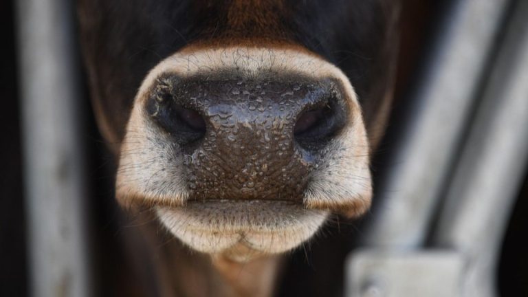 Pixabay.com/eliza28diamonds