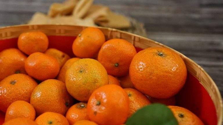 Pixabay.com/Azza_Hafizah