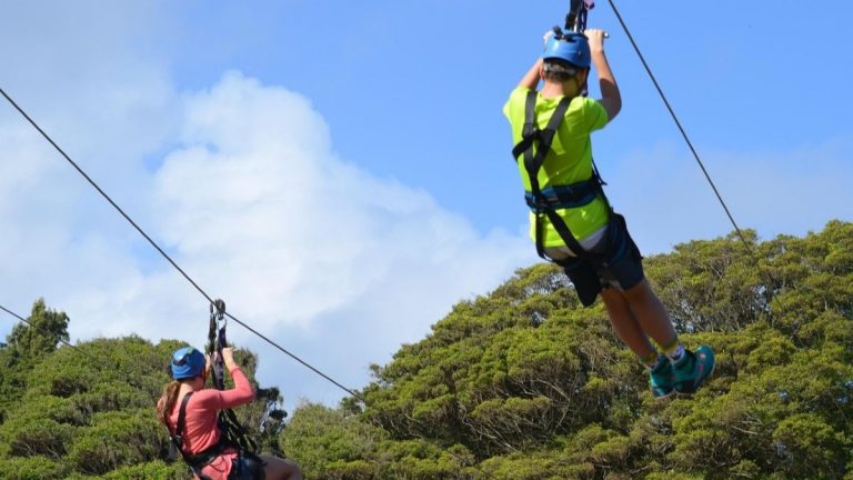 Pixabay.com/genielutz