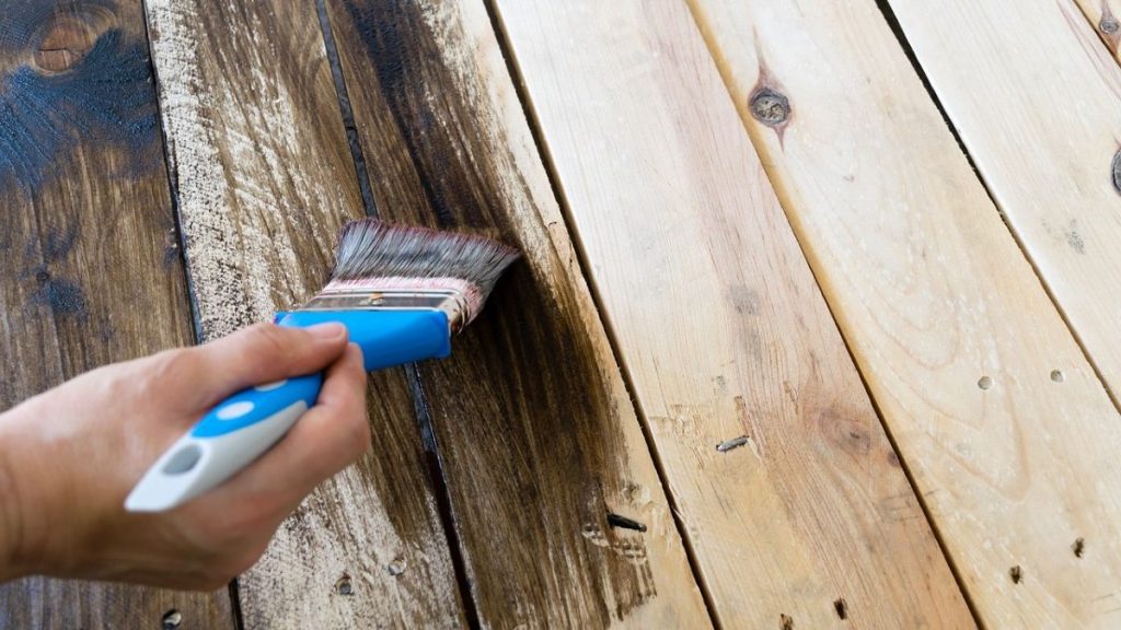 Pixabay.com/photonia