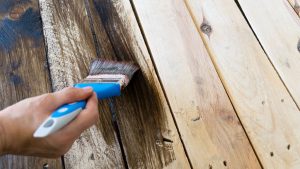 Pixabay.com/photonia