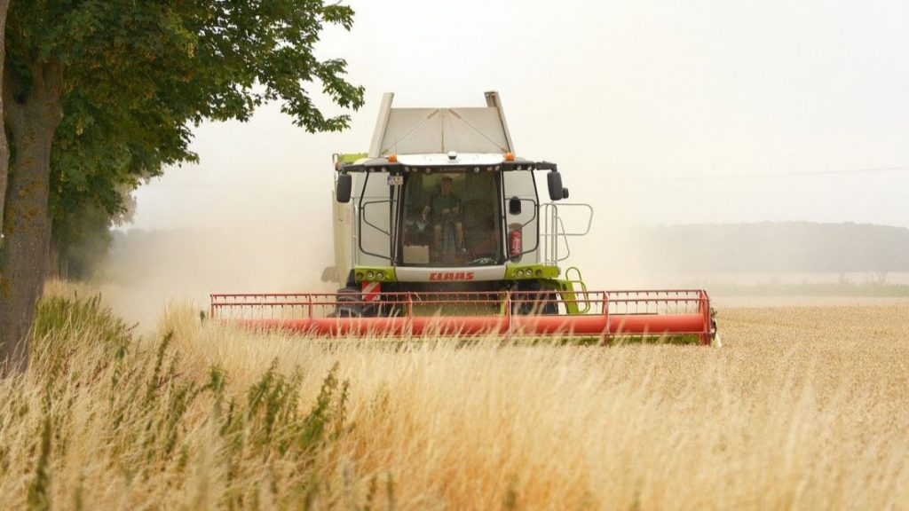 Pixabay.com/LMX5Fotografie