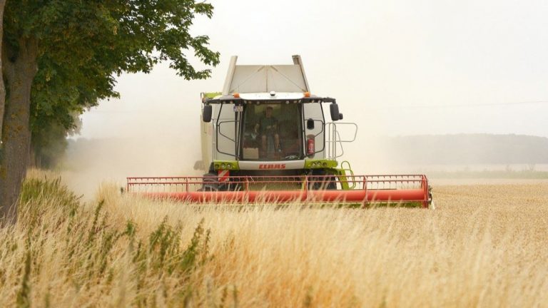 Pixabay.com/LMX5Fotografie