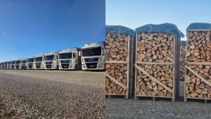 Privatni arhiv/Canva