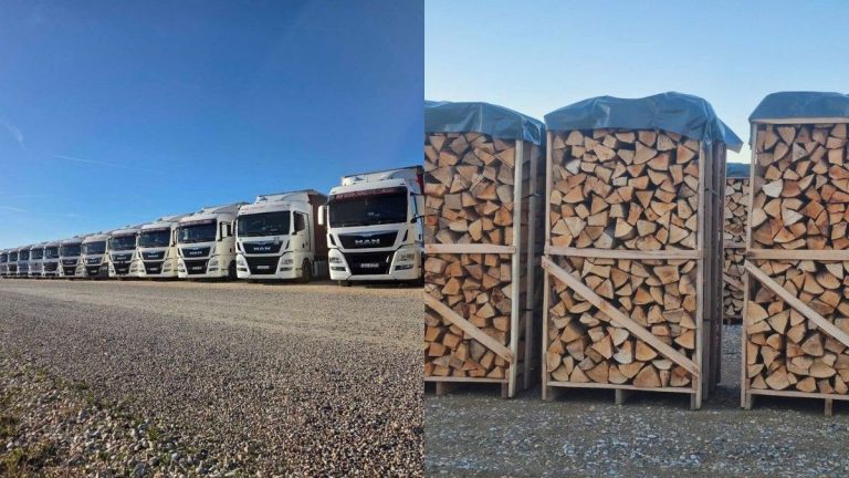 Privatni arhiv/Canva