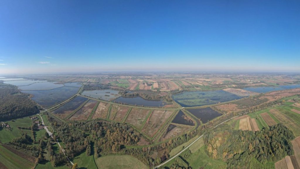 Ribnjačarstvo Končanica