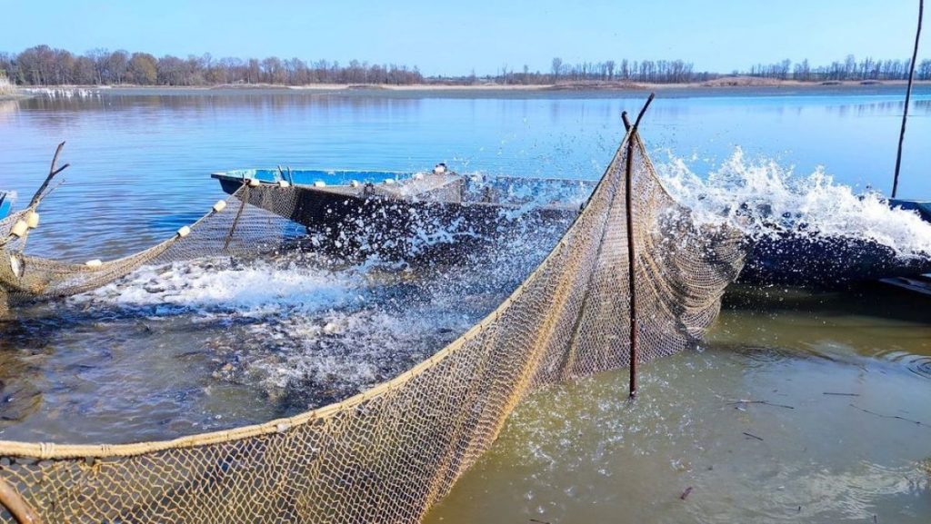 Ribnjačarstvo Končanica