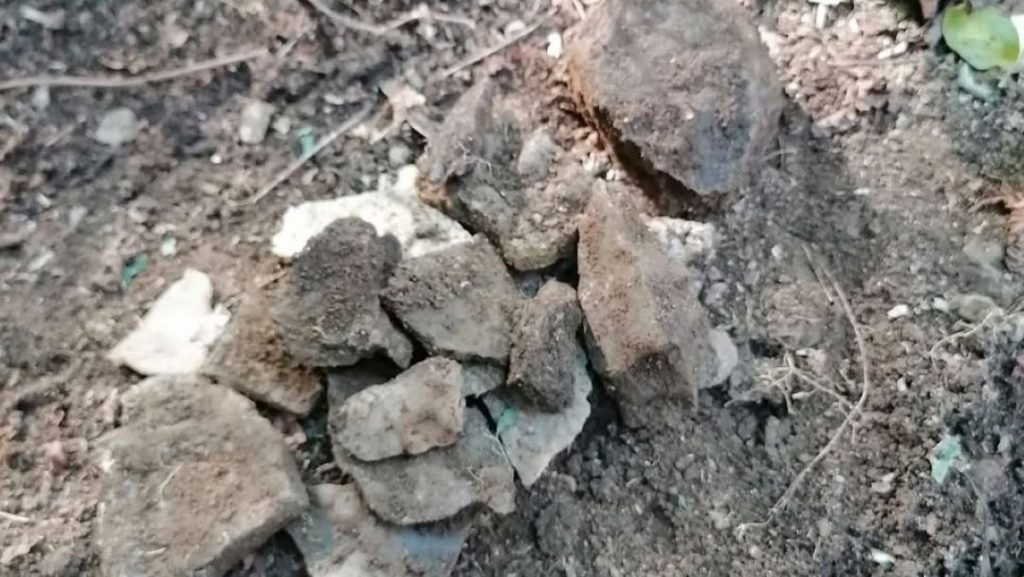 Privatni arhiv/Goran Hrestak